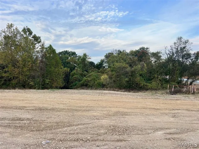 Here's the view from #193 STB -- fantastic homesite that backs to trees at Stone Bridge