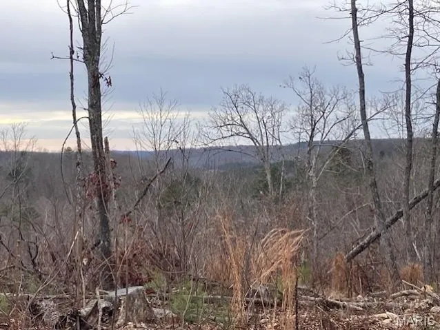 View of mountain backdrop with a heavily wooded area