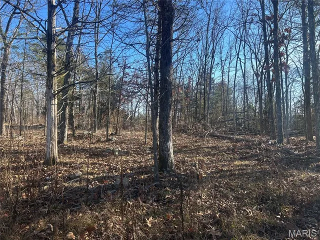 View of wooded area