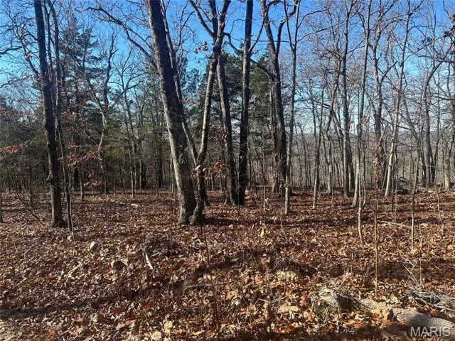 View of undeveloped land