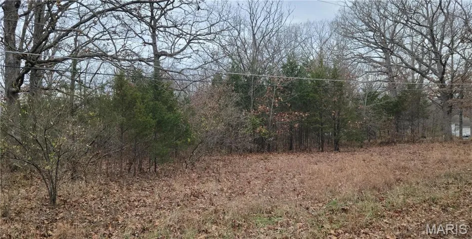 View of wooded area