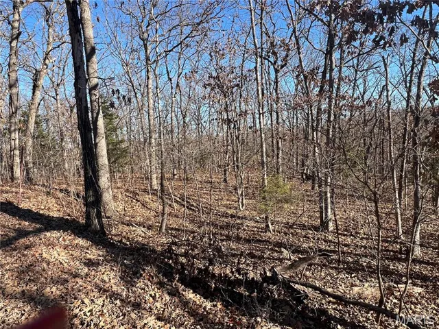 View of undeveloped land