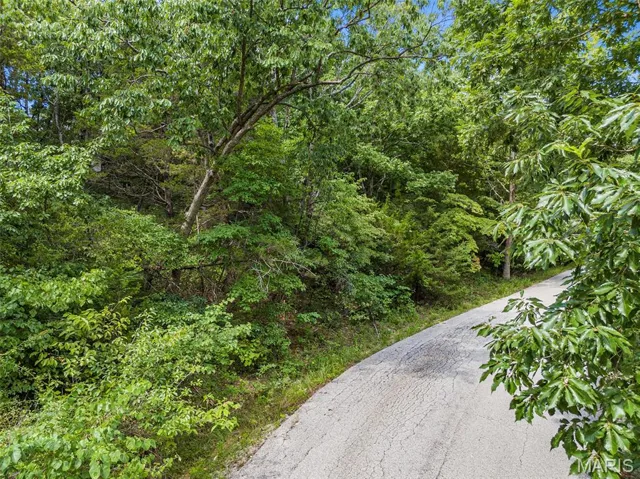 View of road featuring a wooded view