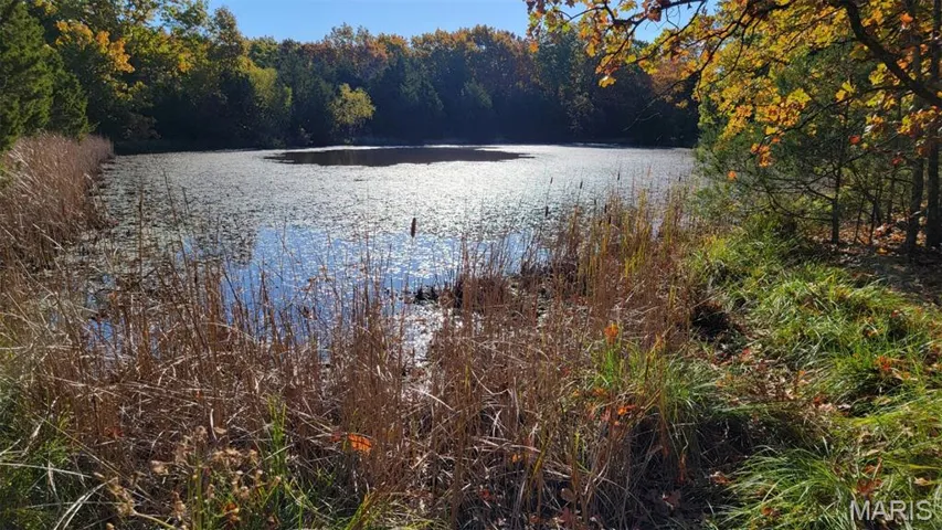 Water view featuring a heavily wooded area