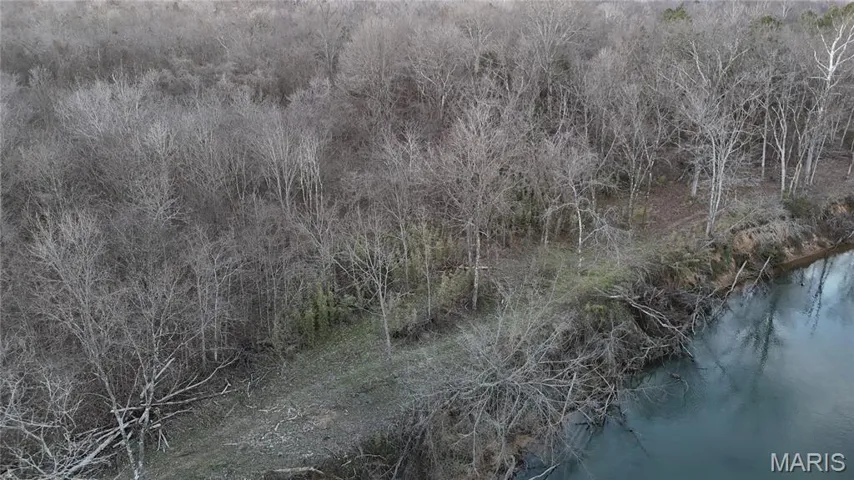 View of local wilderness with a nearby body of water