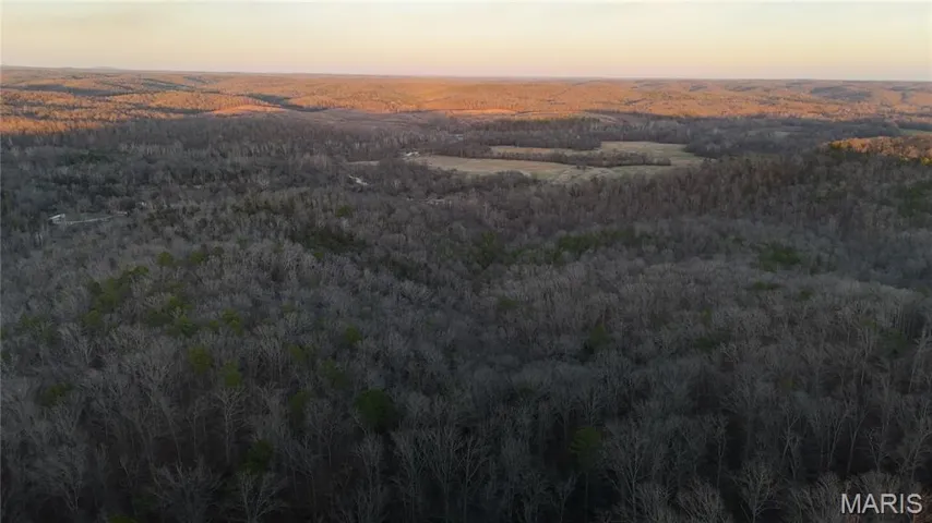 Aerial view at dusk of a wooded view