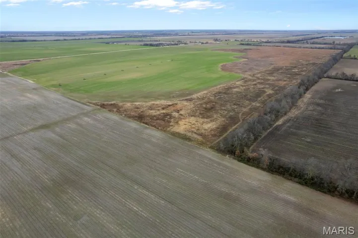 Aerial view of sparsely populated area with rows of crops