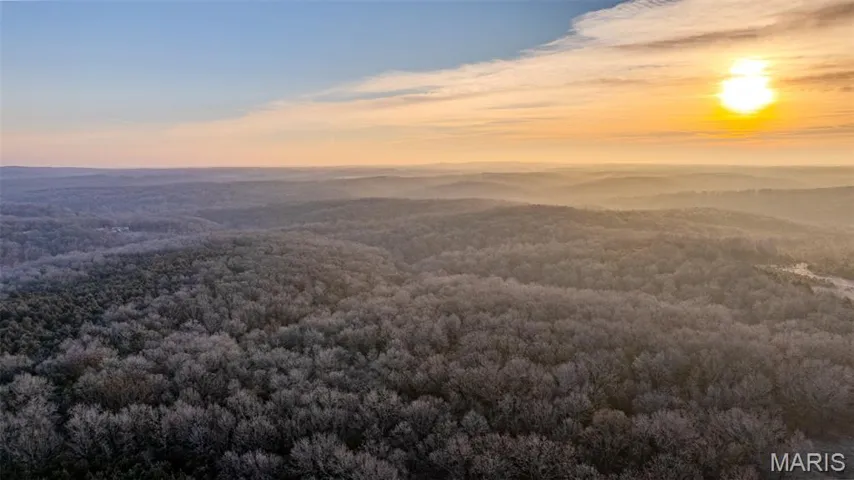Aerial view at dusk of a view of trees