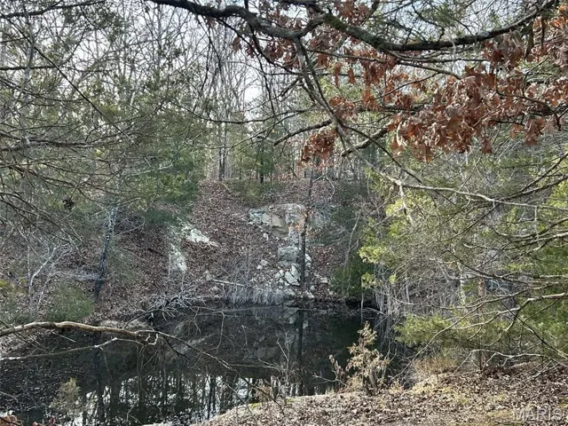 View of woods
