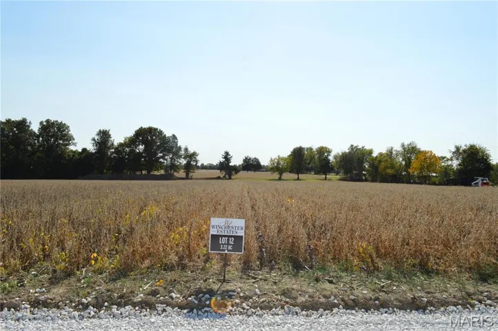 View from road at front of lot