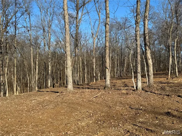 View of the 3 acre lot