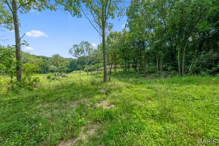 View of woods