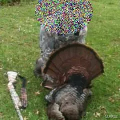 1170