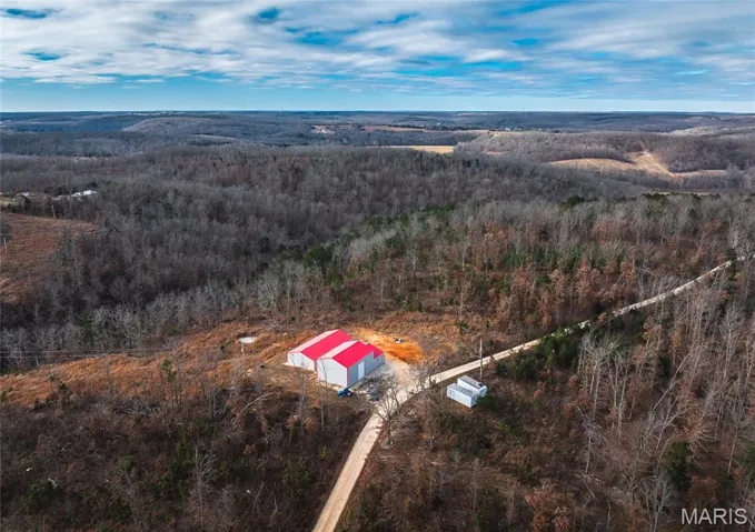 Aerial view of a forest