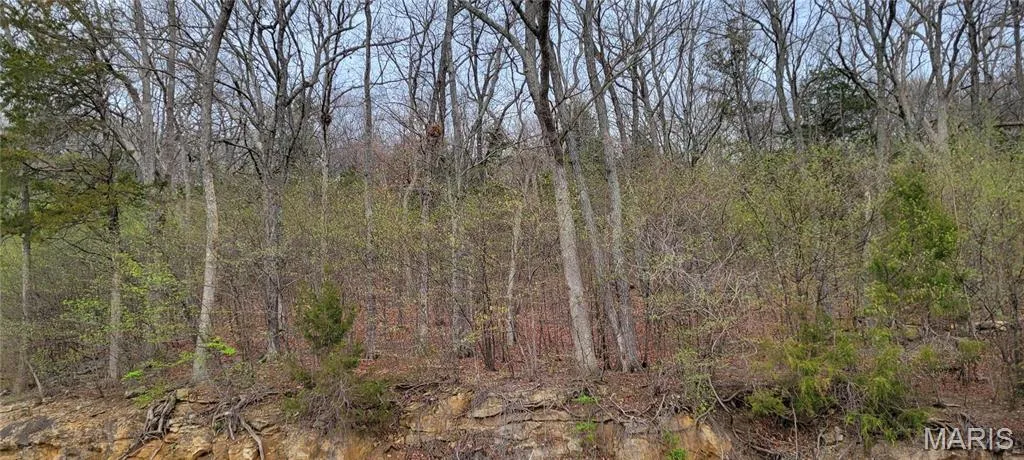 View of the lot