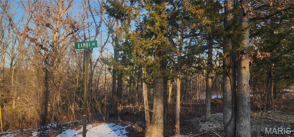 Corner of property