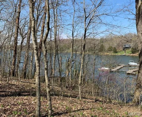 View of water feature
