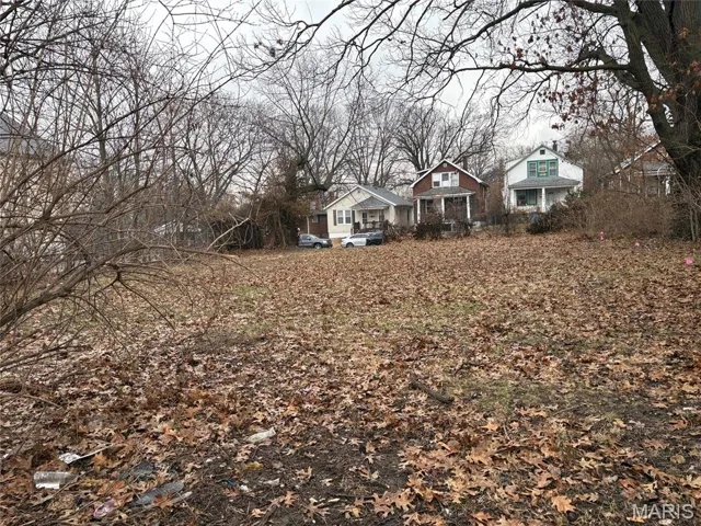 Left view of front of yard