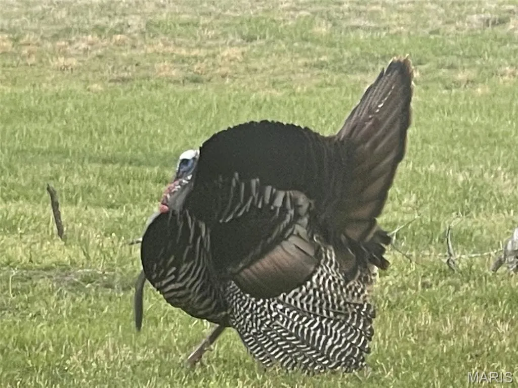 1170
