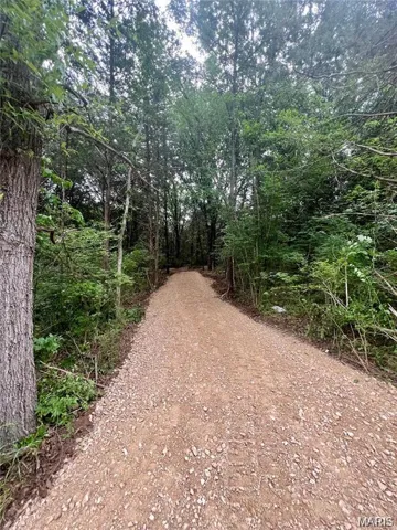 Photos were taken in 2024.