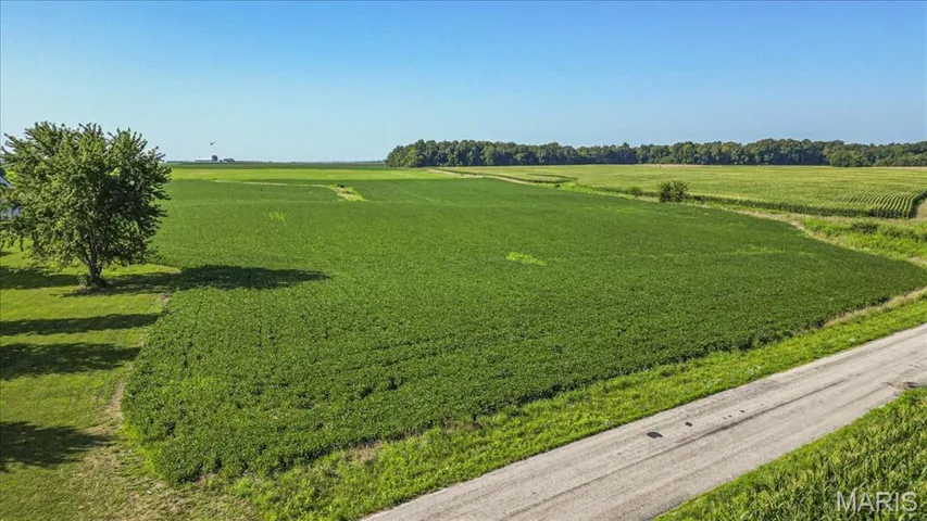Aerial View of Property