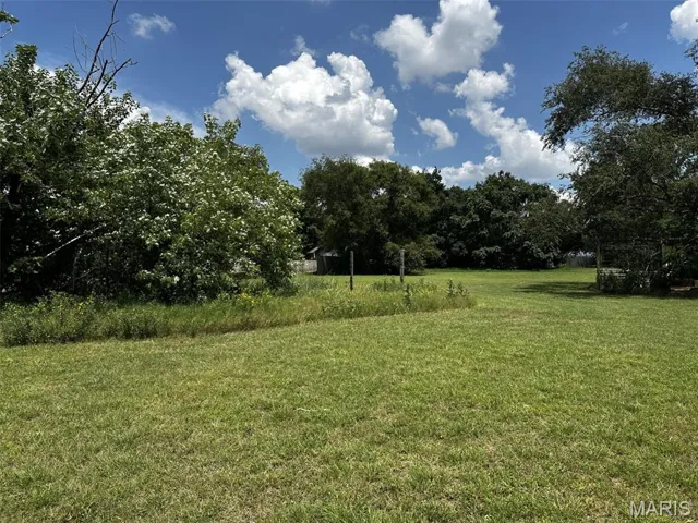 View of green lawn
