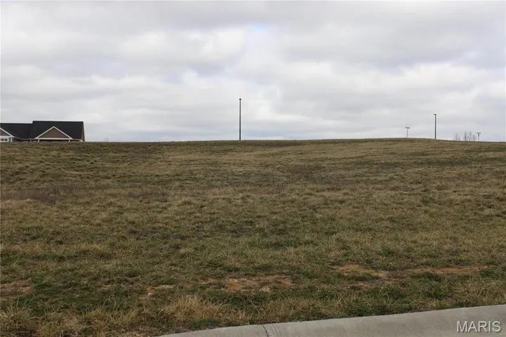 Lot 11