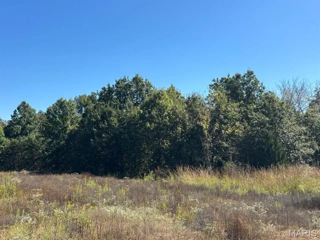 View of woods