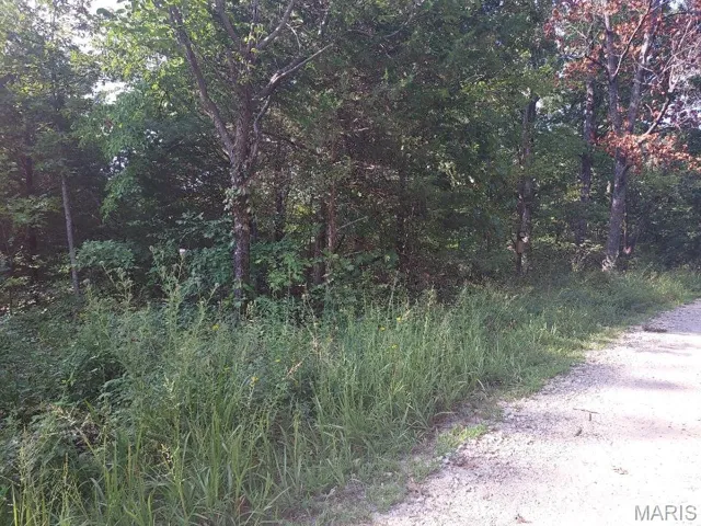Corner Lot At Alpine Road and Lost Hollow