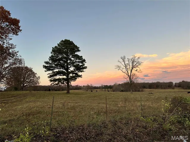 Nature at dusk with a rural view