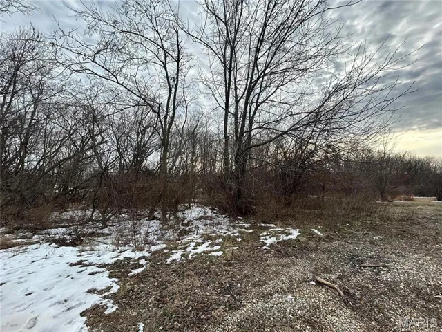 View of snowy landscape