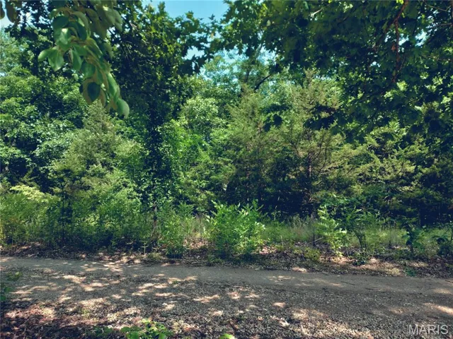 View of wooded area