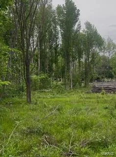 View of nature
