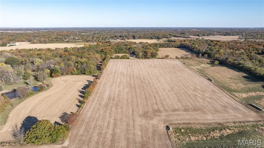 Aerial view of sparsely populated area with rows of crops