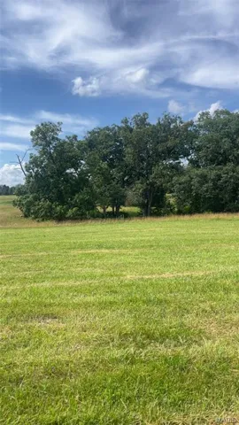 View of yard featuring a view of rural / pastoral area