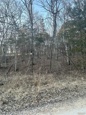 View of nature