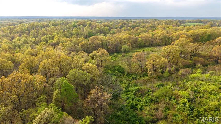 Drone / aerial view with a view of trees