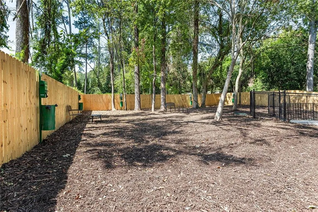 Dog Park