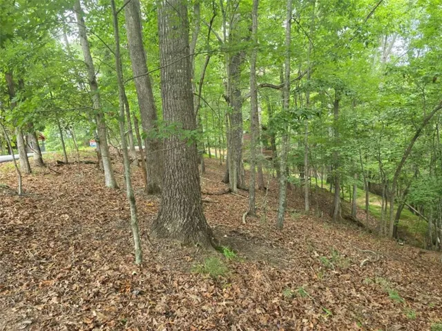 Lot476 Riverview Drive, Ellijay, Georgia 30540
