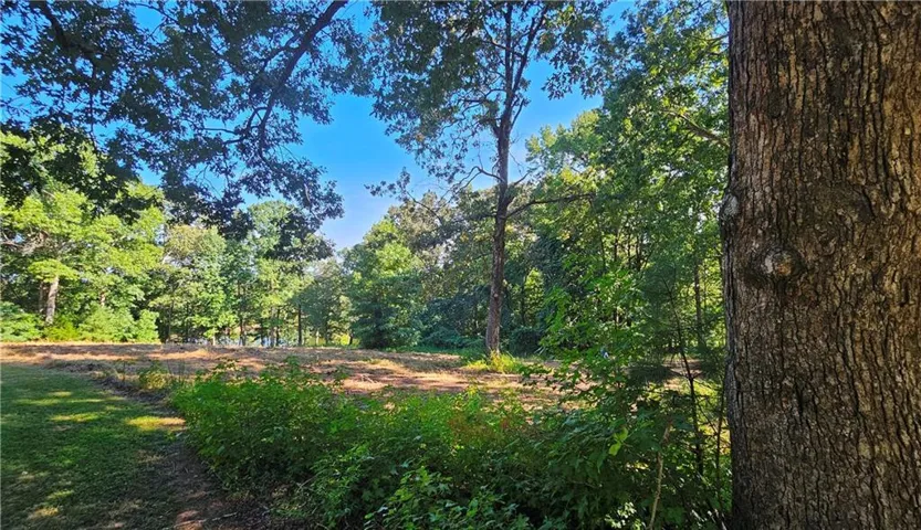 Lot 2 Snote Jones Road, Dallas, Georgia 30132