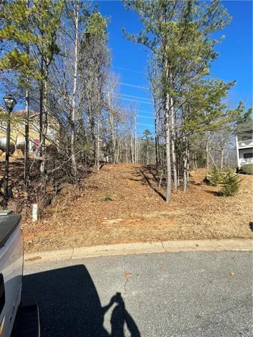 41 Foxfire Lane, Cartersville, Georgia 30120