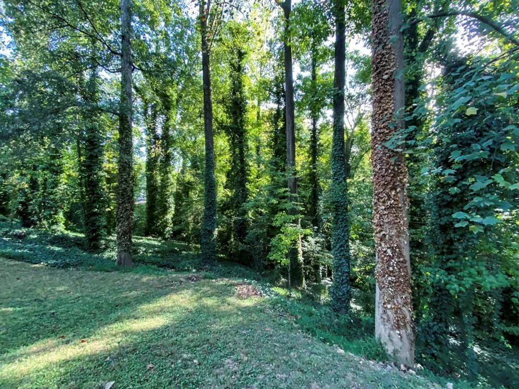 121 Maryeanna Drive, Sandy Springs, Georgia 30342, 3 Bedrooms Bedrooms, ,2 BathroomsBathrooms,Residential,Sold,121 Maryeanna Drive,6630312