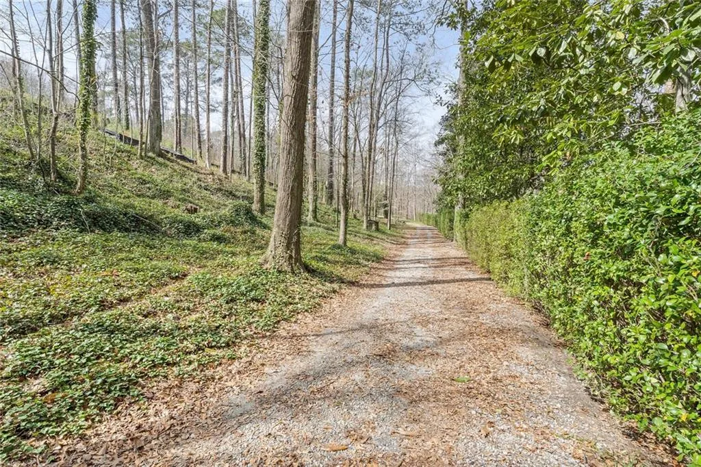 Long meandering drive to the buildable site.