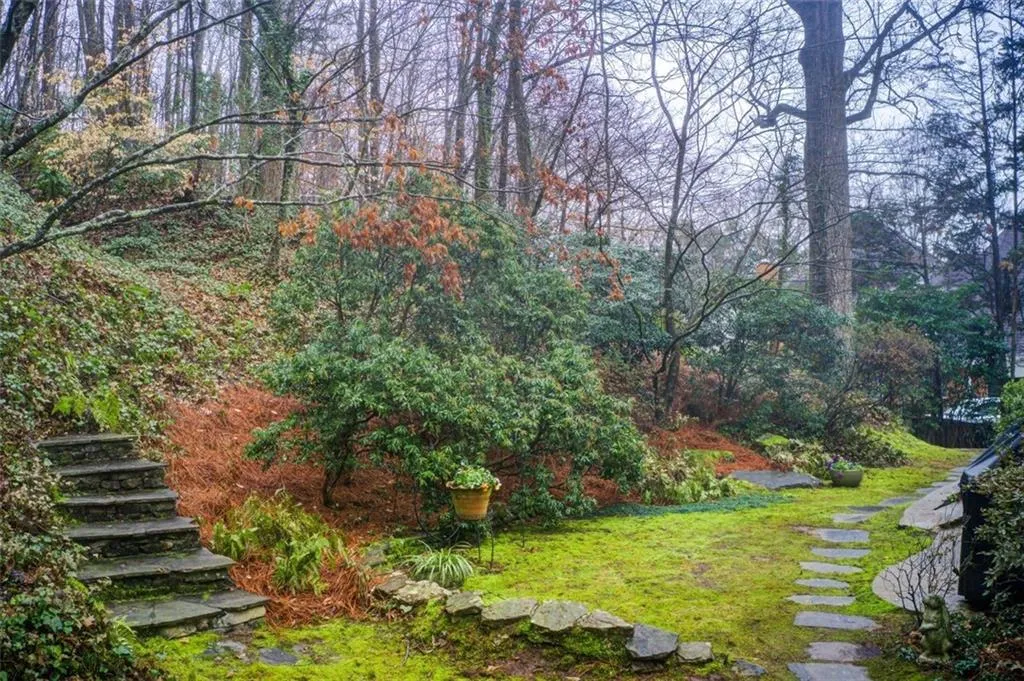 This is a really large wooded backyard