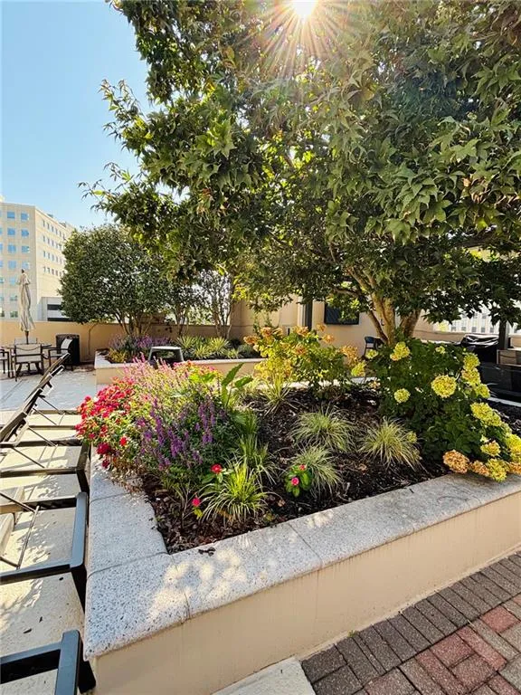 Poolside Landscaped garden bed with mature tree, various plantings, and a stone-capped retaining wall
