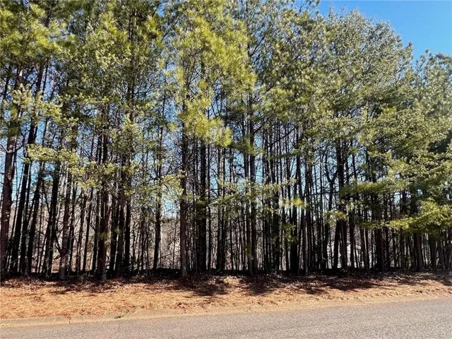 920 Whistler Lane, Canton, Georgia 30114