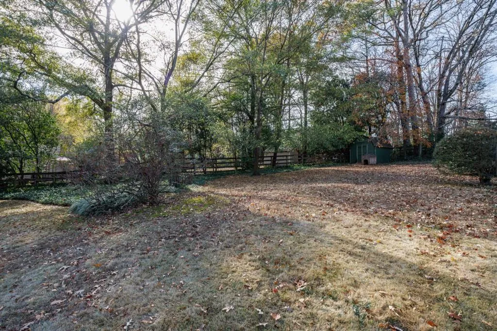 Large, level fenced backyard