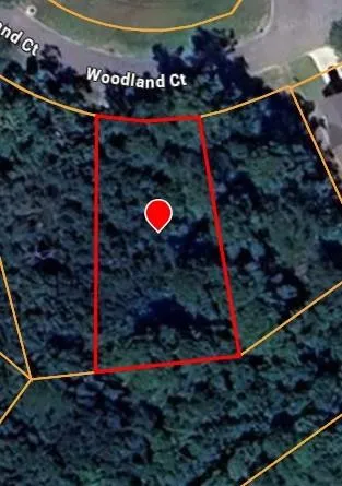 Property Map. Depicting the boundaries of the property and surrounding parcels