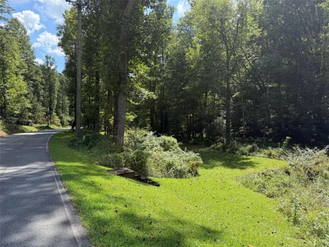 6.13ac Lucius Road, Cherry Log, Georgia 30522