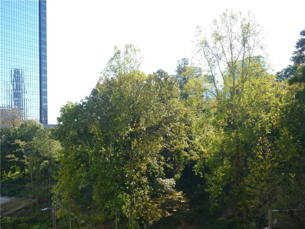 3481 Lakeside Drive Ne Unit 804, Atlanta, Georgia 30326, 1 Bedroom Bedrooms, ,1 BathroomBathrooms,Residential,Sold,3481 Lakeside Drive Ne Unit 804,5766202